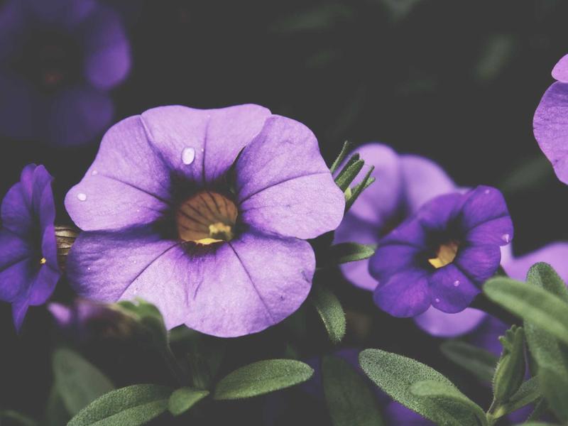 sudoku skill improvement screenshot 5