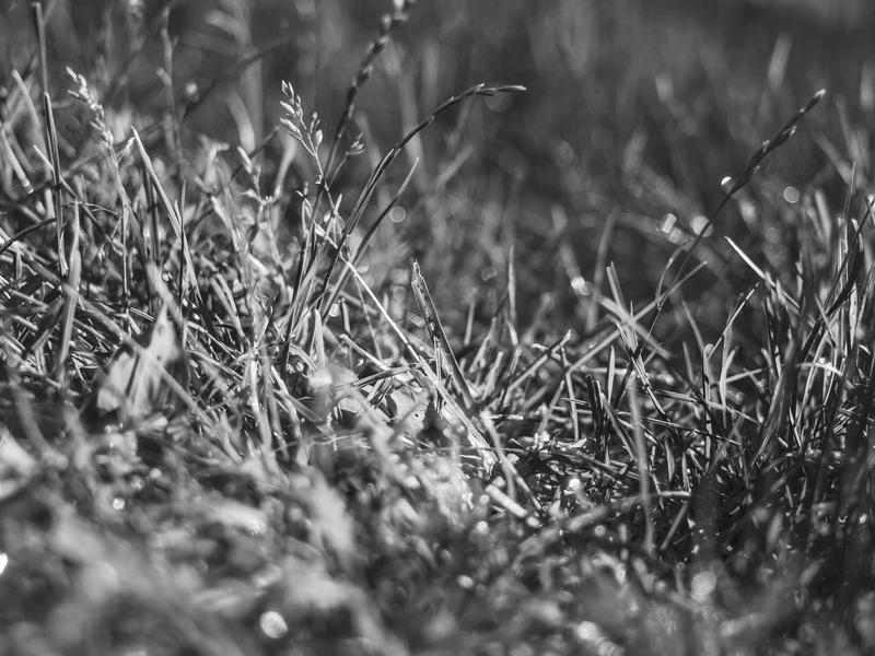 sudoku grid completion screenshot 2